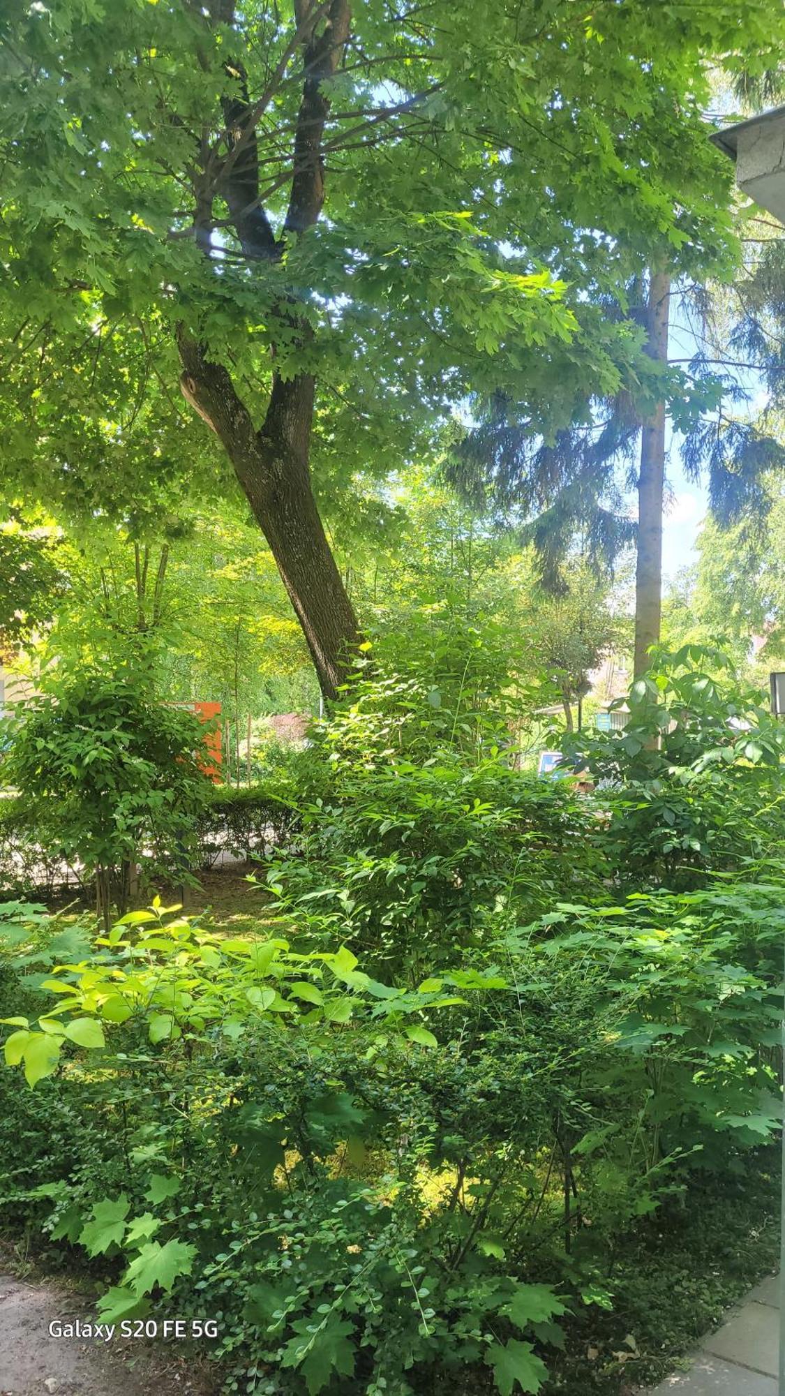 Apartament Przy Parku Nałęczów Exterior foto