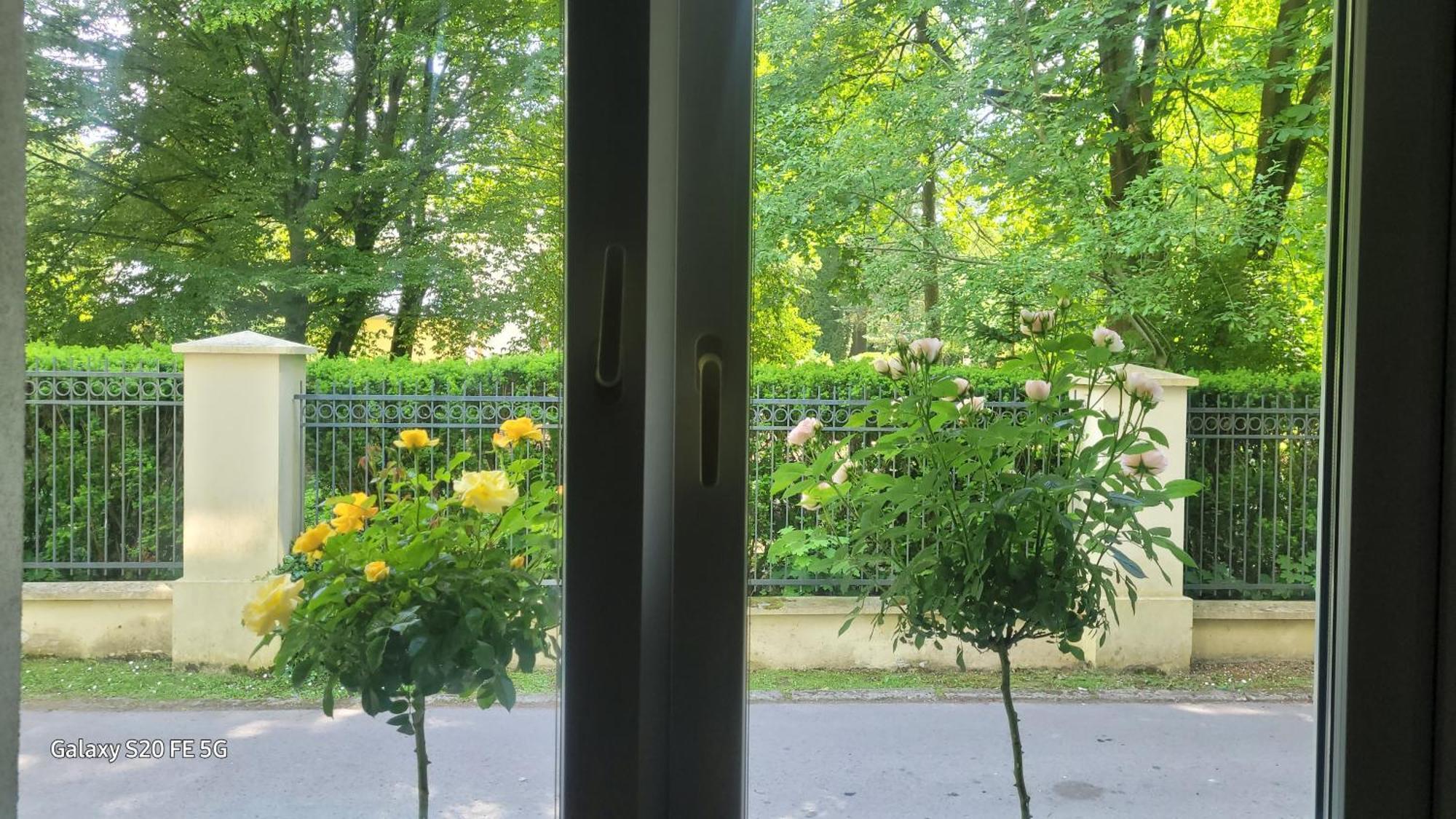 Apartament Przy Parku Nałęczów Exterior foto